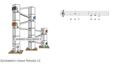 Xyloba Mezzo (40 pieces)